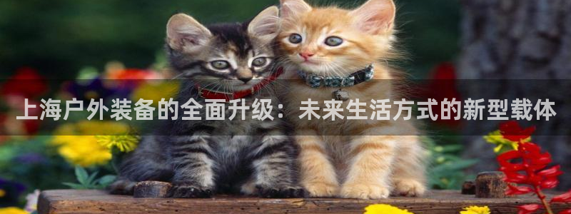 新宝gg登录网址