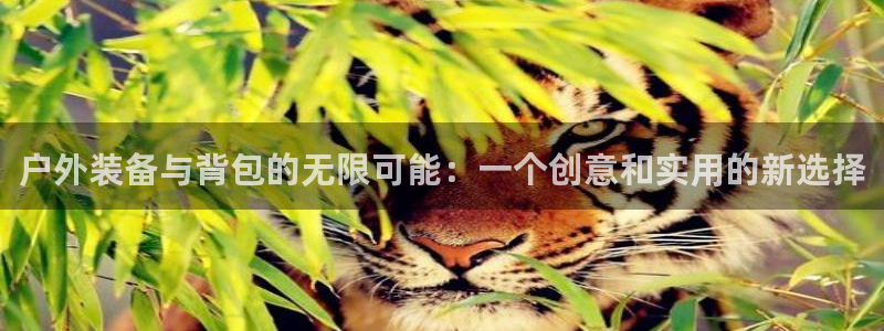 新宝GG绿色