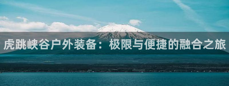新宝gg总管
