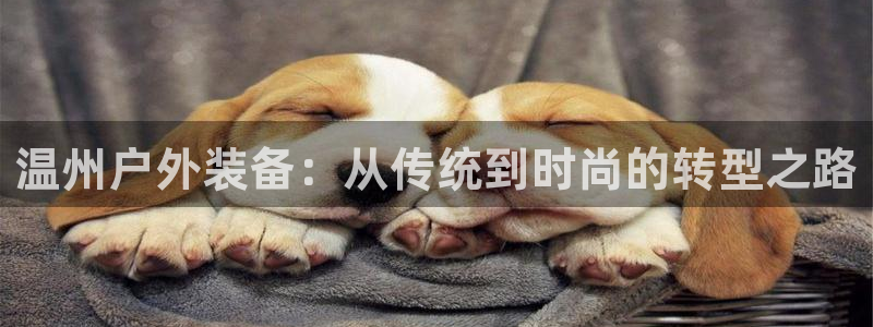 新宝gg游戏