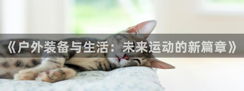 新宝gg如何注册