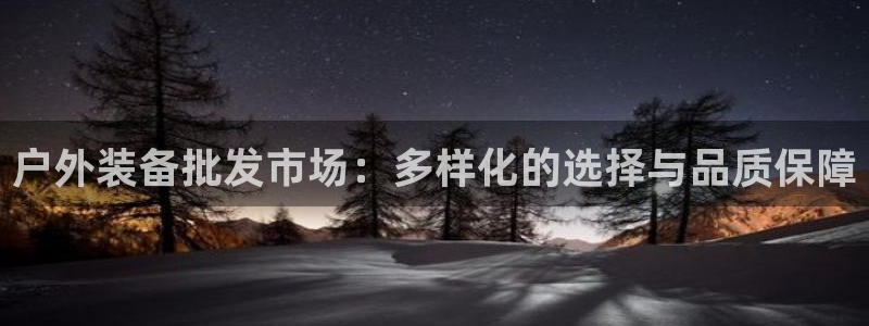 收新宝gg