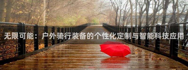 新宝gg挂机软件下载