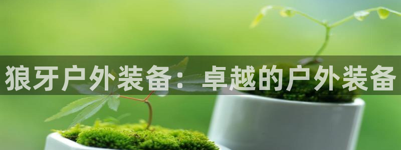 新宝gg dengludizhi