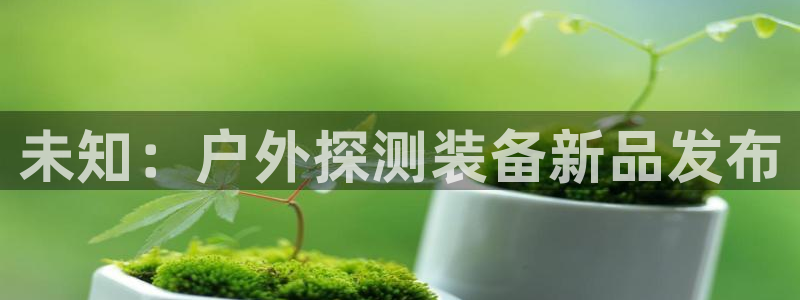 新宝六与新宝gg