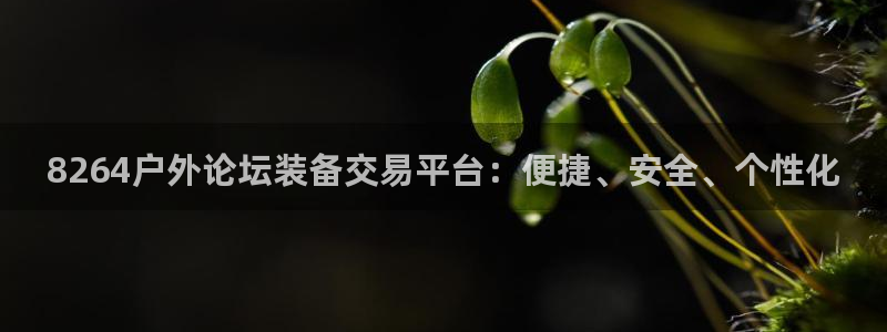 新宝gg首页平台