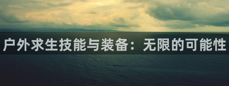 新宝gg入口网址