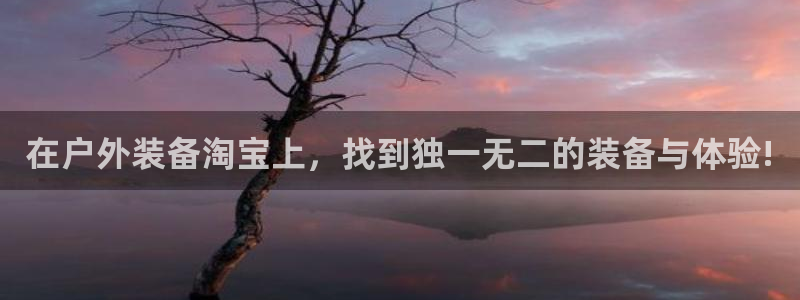 新宝gg平台首页