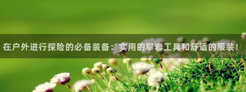 新宝gg官方主管