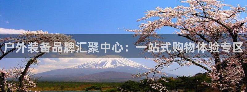 新宝gg平台q891465