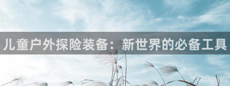 新宝gg和新宝123