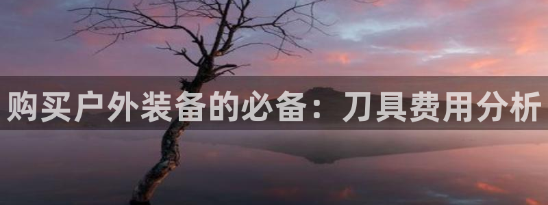 新宝gg平台q891465