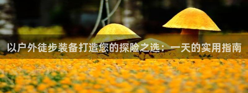 新宝gg属于