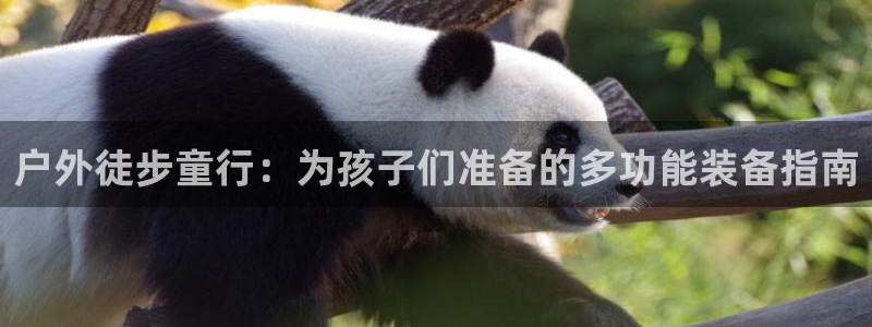 新宝gg系列