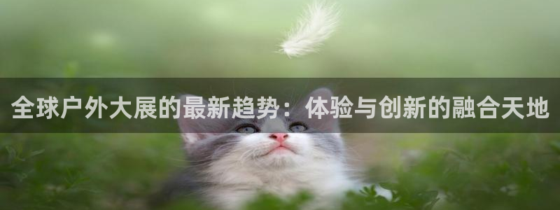 新宝gg走势
