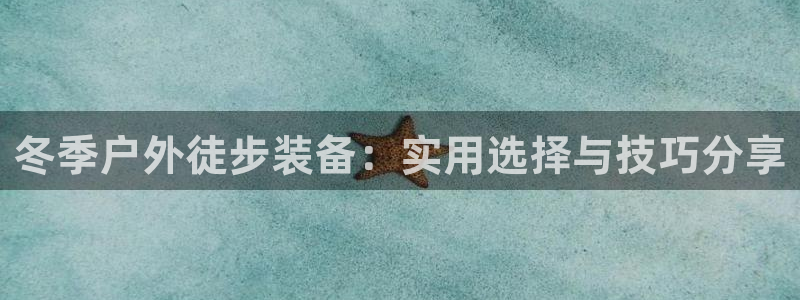 新宝gg手机助手