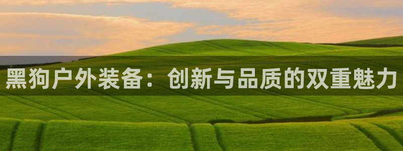 新宝gg平