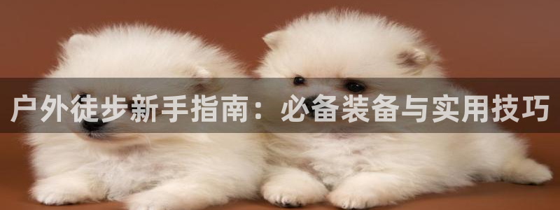 新宝gg一创造奇迹