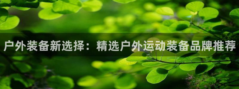 新宝gg 网址
