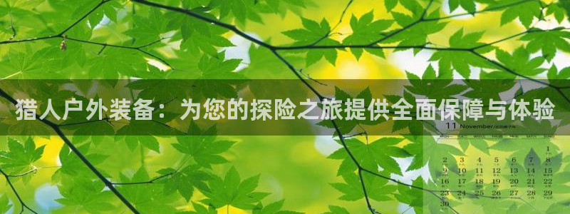 新宝gg返点1956是多少