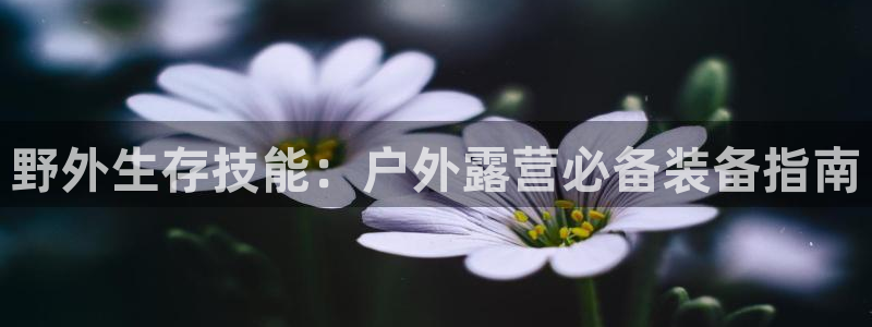 新宝gg_