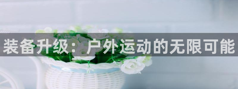 新宝gg联系