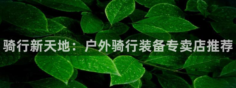 新宝gg介绍