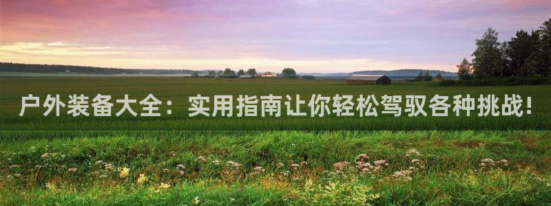 行新宝gg