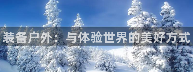 新宝gg客户端下载