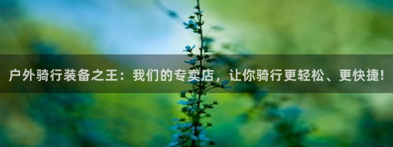 新宝GG股东
