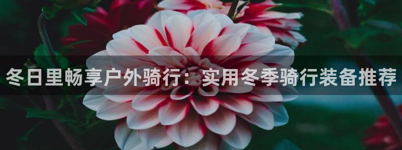 新宝gg主管weibo