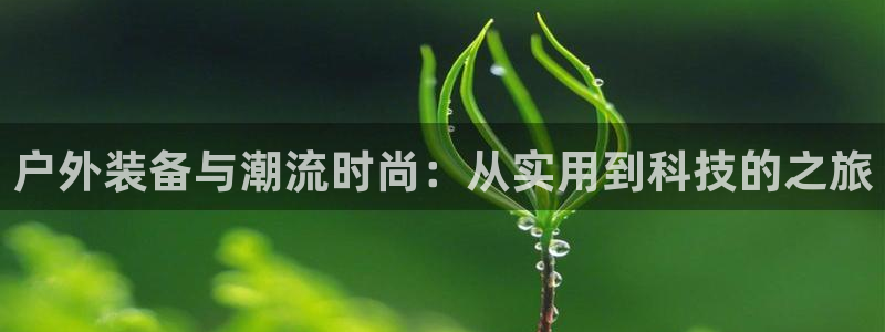 新宝gg属于