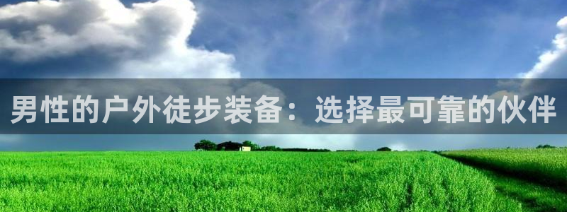 新宝gg公司