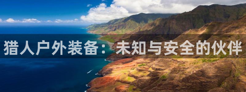 新宝 gg 总代理