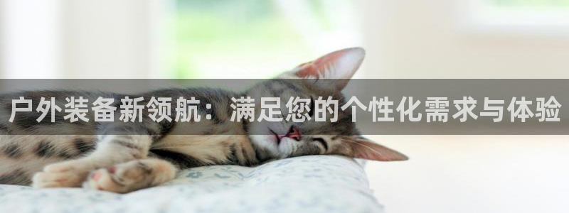 新宝gg画