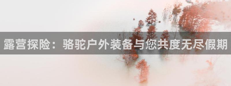 正版新宝gg
