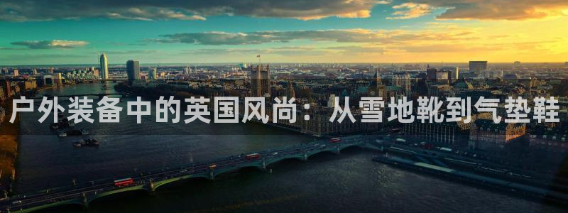 广东新宝电器gg