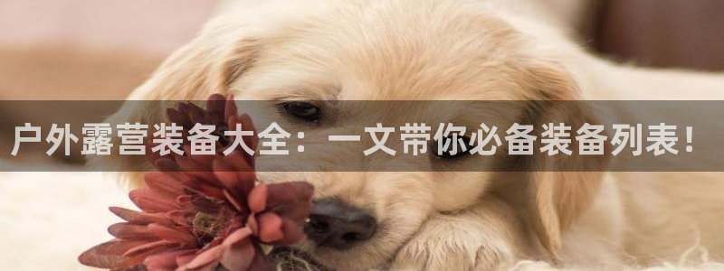 新宝gg 创造奇迹