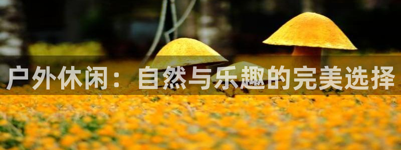 新宝gg是在境外吗