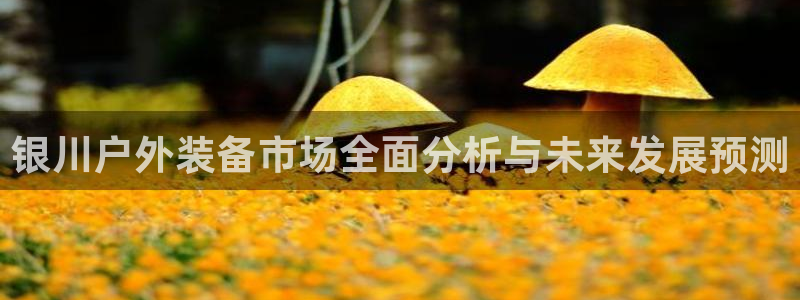 新宝gg平台开发