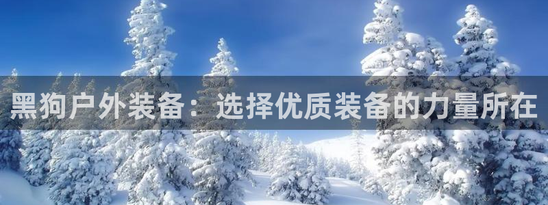 新宝六与新宝gg