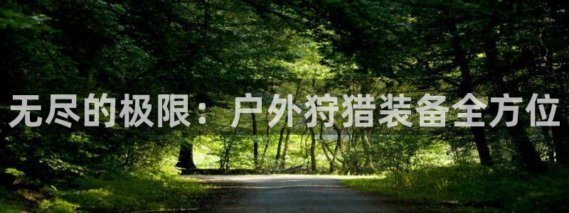 新宝gg建立团队