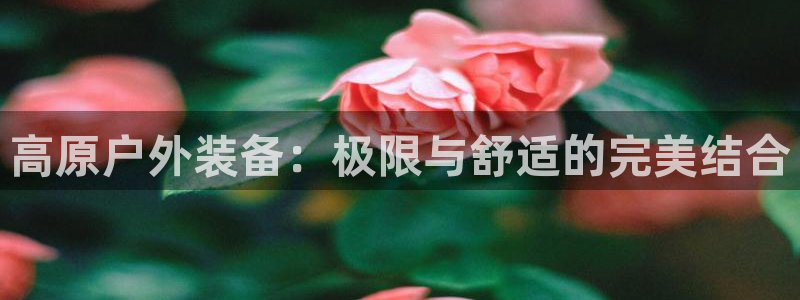 新宝GG 黑钱