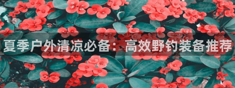 新宝gg首页