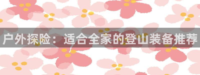 新宝gg挣钱