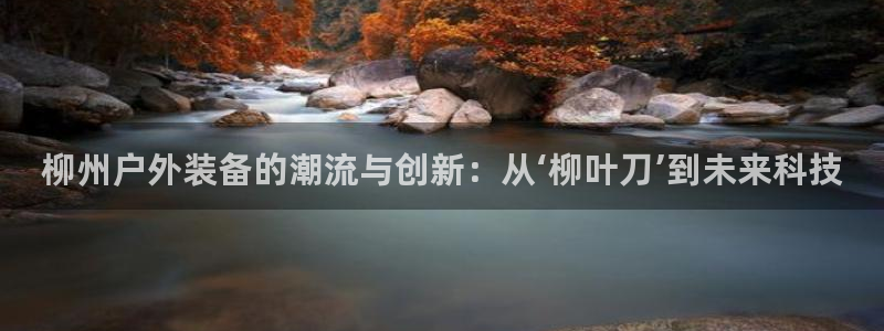 重庆新宝gg