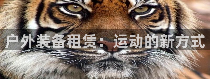 新宝gg总代理