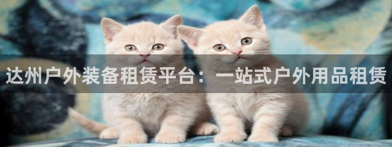 新宝gg官网