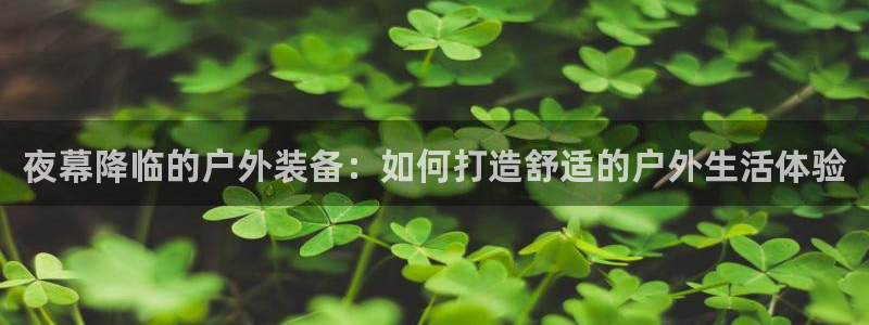 新宝gg主管开