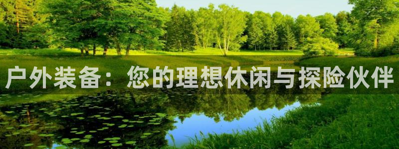 新宝gg网